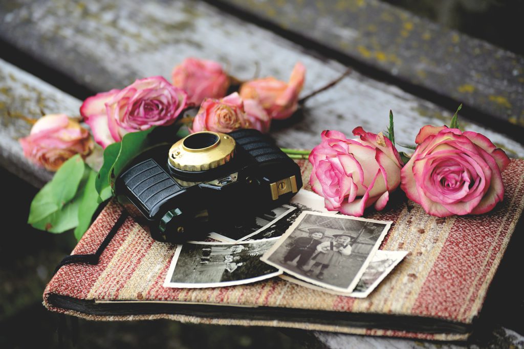 camera, old camera, roses